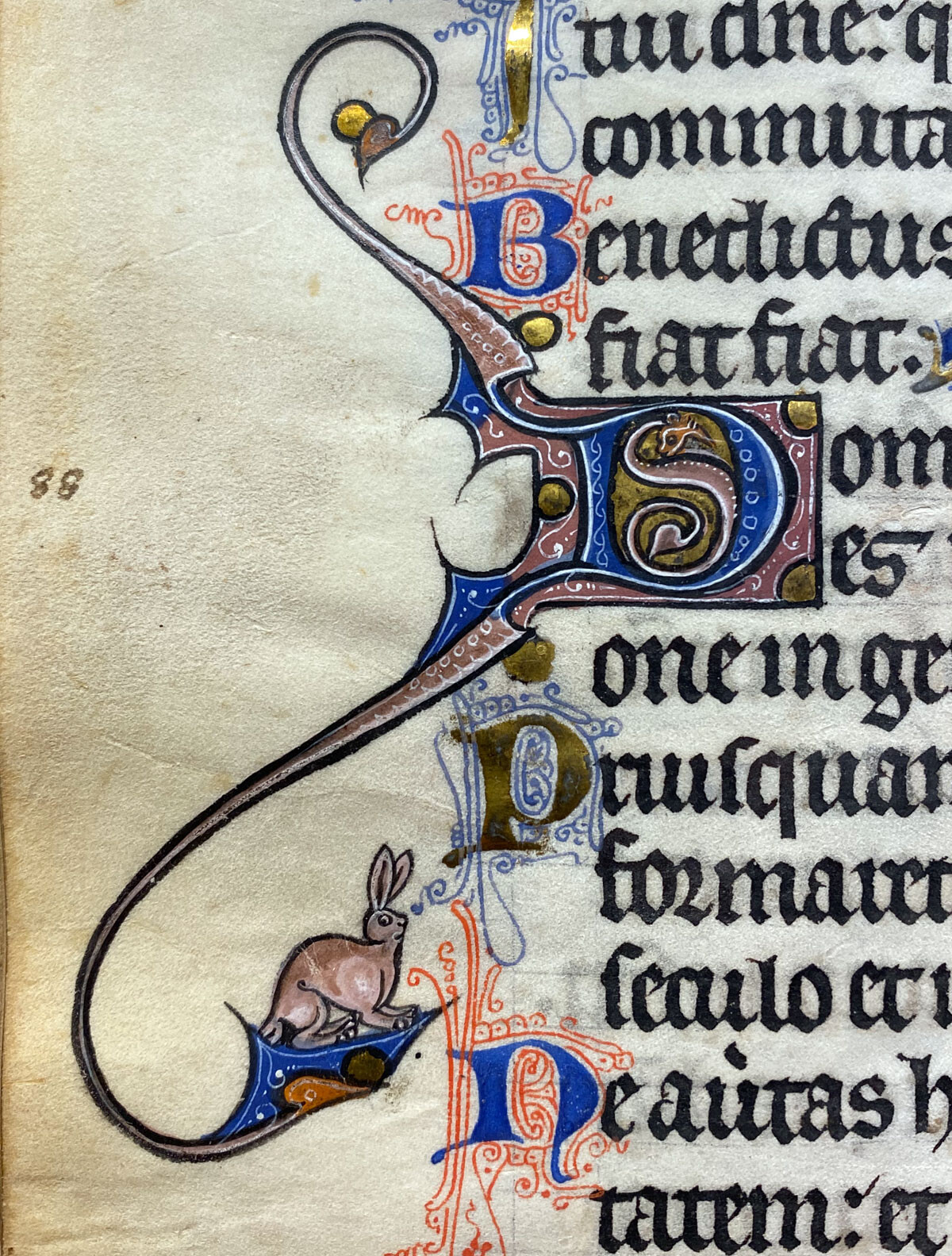 Illumination in the margin of a medieval text showing a smiling rabbit poised on the long tail of a capital D with a staring wyrm inside it