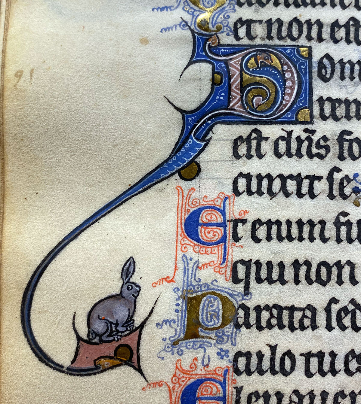 Illumination in the margin of a medieval text showing a rabbit with perked ears, looking up, on the long tail of a capital M