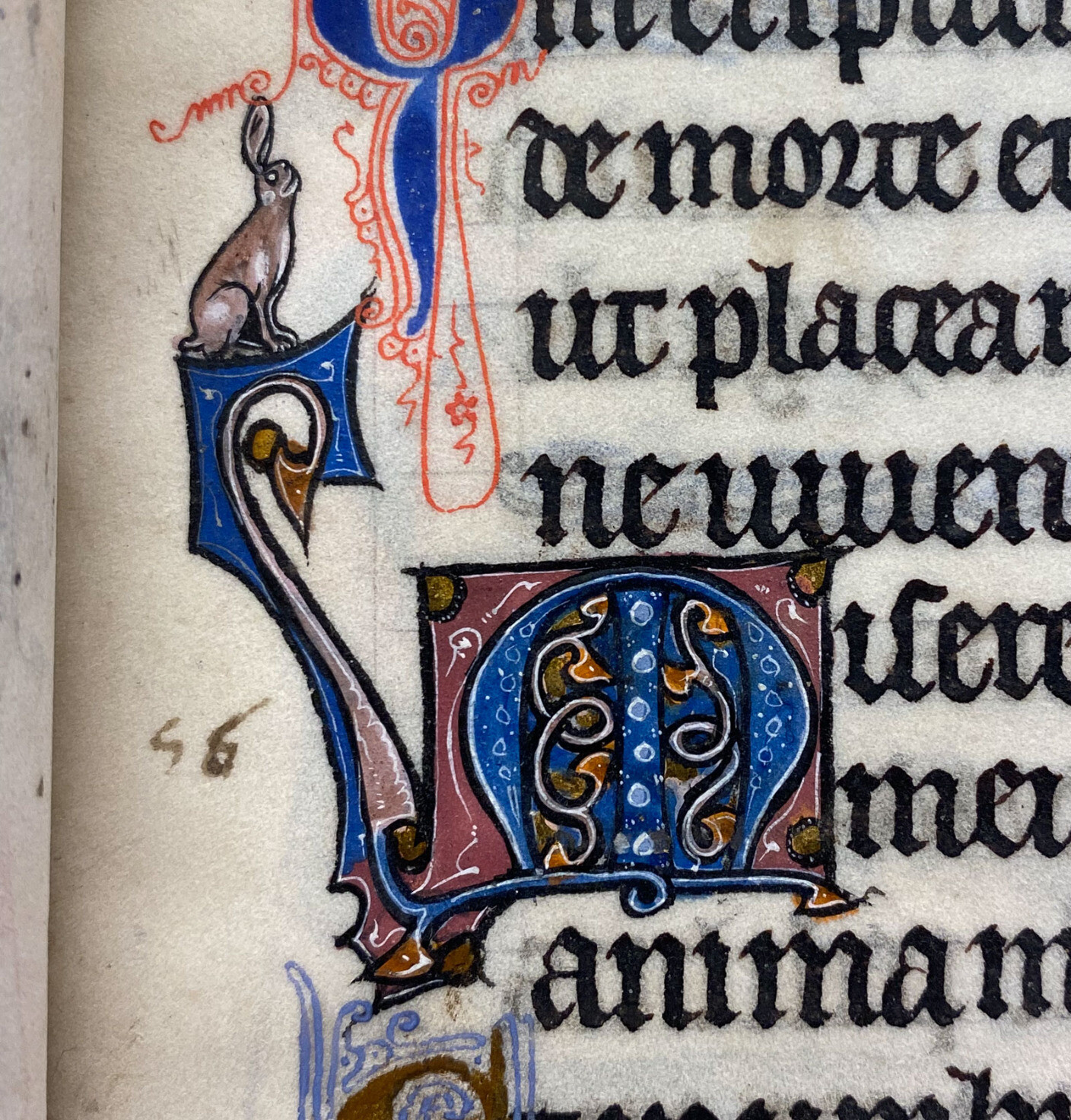 Illumination in the margin of a medieval text showing a smiling rabbit poised on the long tail of a dragon-like creature